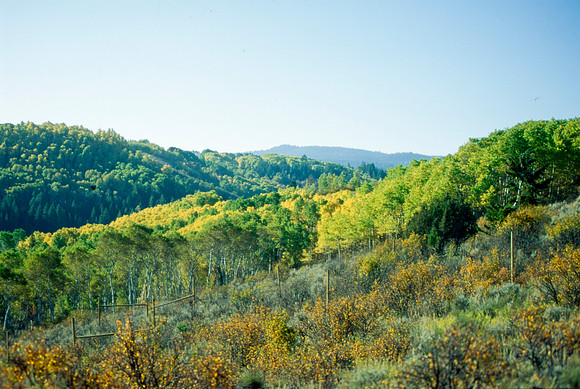 Scenery photographs of the Elk Ranch.