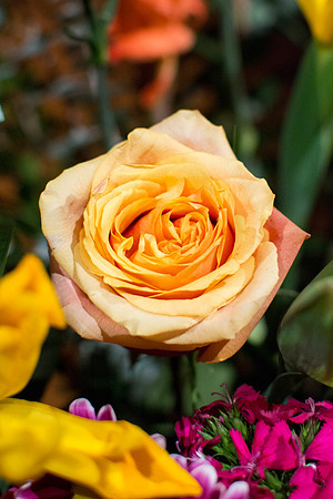 An Orange Rose in the I-Center podium flower arrangement.