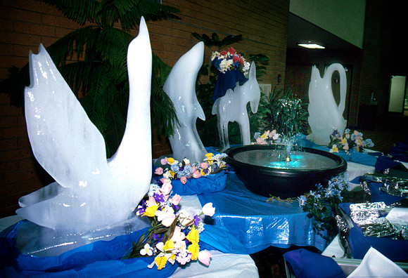 Ice Sculpture - 1987