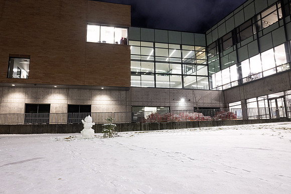Snowman - Nov 2024