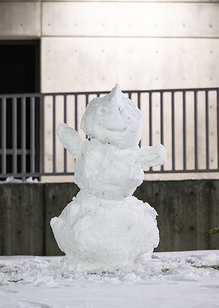 Snowman - Nov 2024