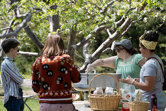 Apple Blossom Festival - May 2025