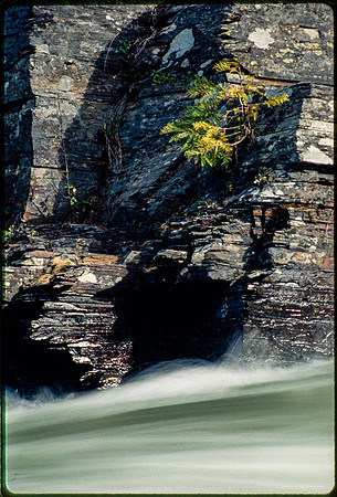 Glacier National Park - June 1995
