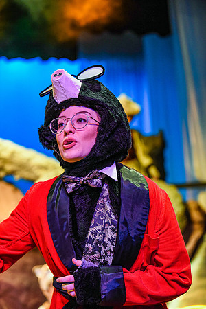 The theatre department's dress rehearsal of the Wind in the Willows in the Snow Drama Theatre.
