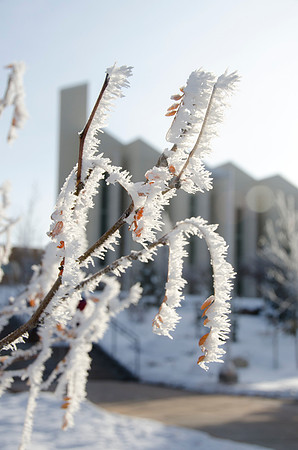 The John Taylor Building on a frosty winter day.