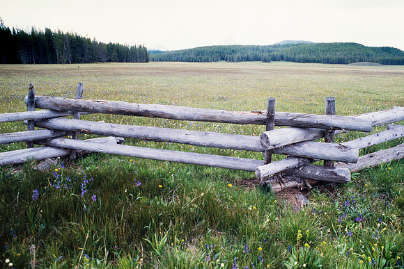 Idaho Sawtooth Mtns.