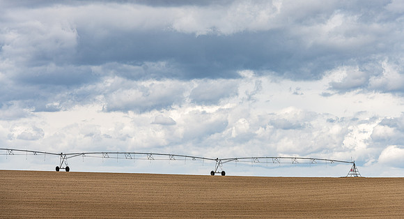 Agriculture - Apr 2020
