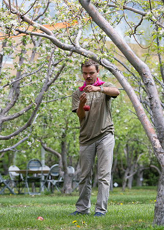 Apple Blossom Festival - May 2025