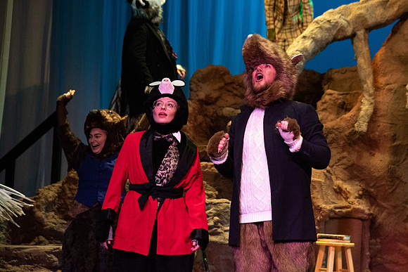 The Wind in the Willows - Feb 2020