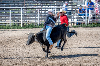 SpringFest Rodeo - June 2025