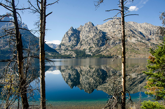 12-TetonNP-JennyLake_10