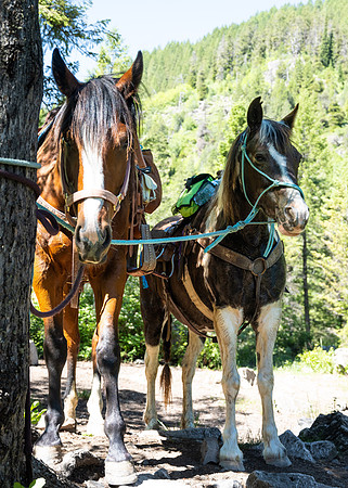 Hike - June 2024