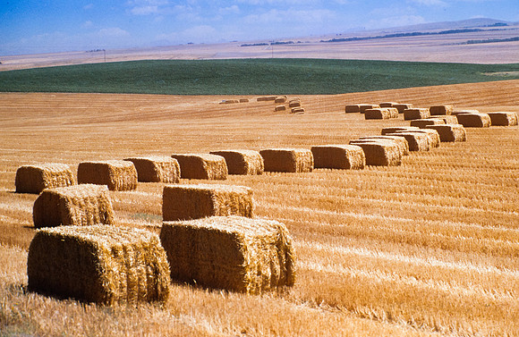 Off Highway 33 near Green Canyon