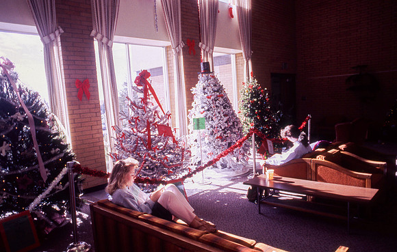 Christmas Tree Lane, 1990