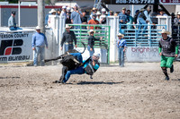 SpringFest Rodeo - June 2025