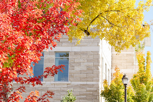 A colorful display of the fall leaves in front of the Spori.