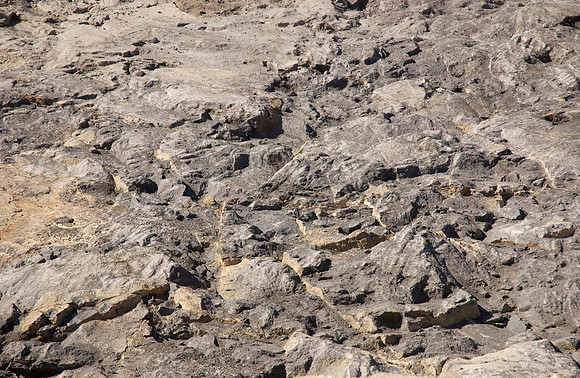 050926TempleSite_1040