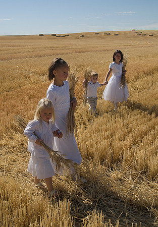 Children in the wheat fields- AUG 2007