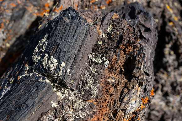 Craters of the Moon - Nov 2024