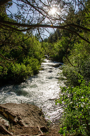 Photo Excursion: hike to Lower Palisades Lake.