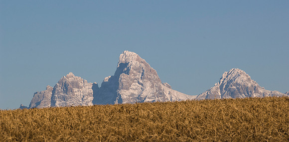 Idaho Agriculture