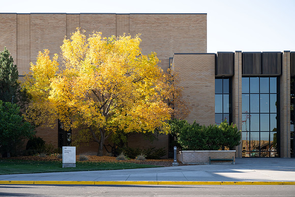 Campus Fall - Oct 2024