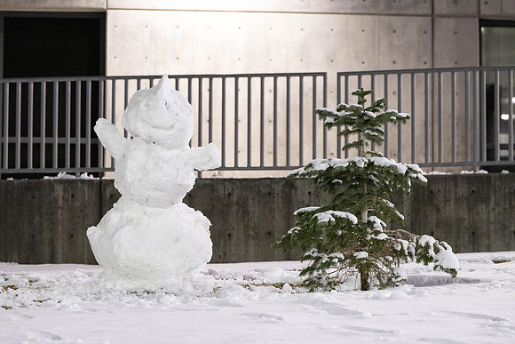 Snowman - Nov 2024