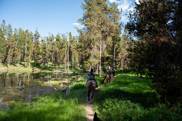Horseback Riding - June 2025