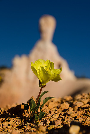 Bryce Canyon, UT