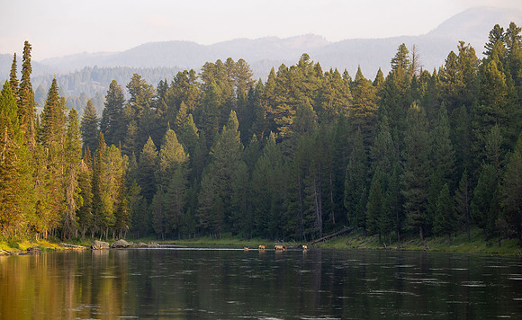 Photo excursion, hike along the river to Coffee Pot rapids.