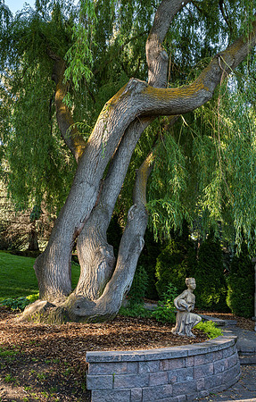 Thomas E Ricks Horticulture Gardens