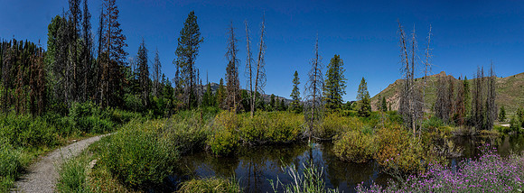 Various landscapes in central Idaho along a well known bikepacking route.