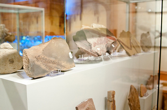 new displays to hold artifacts and mineral collection in the geology museum.