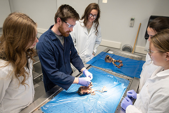 Animal Science Lab - April 2025