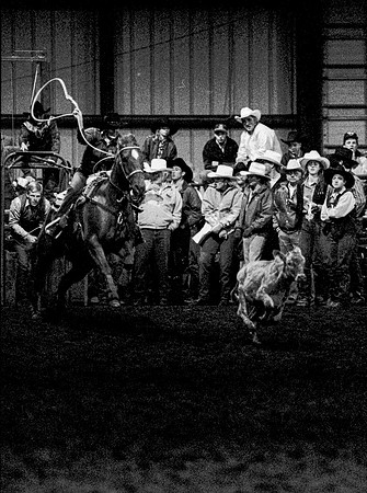 The main event was calf roping