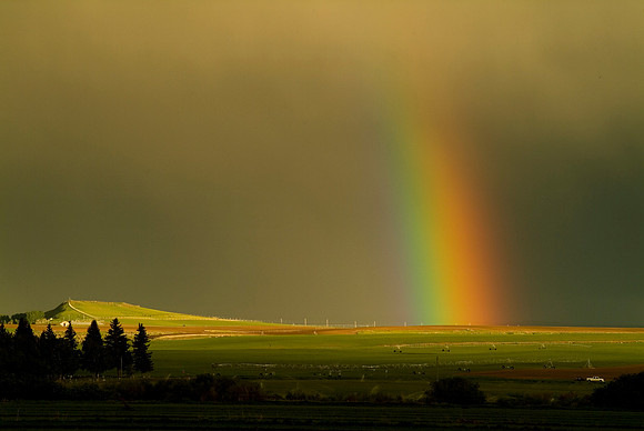 15-Rainbow
