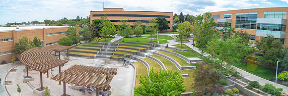 Library Construction - July 2025