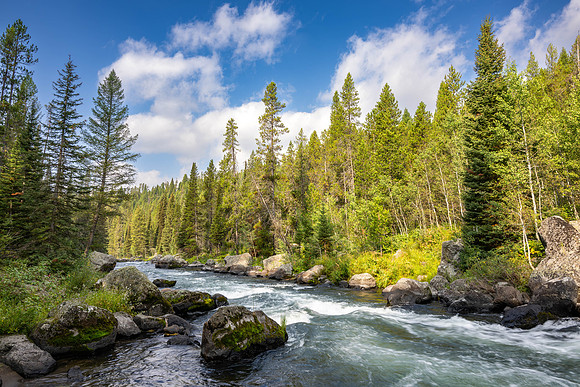 Photo excursion, hike along the river to Coffee Pot rapids.
