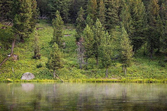 Photo excursion, hike along the river to Coffee Pot rapids.