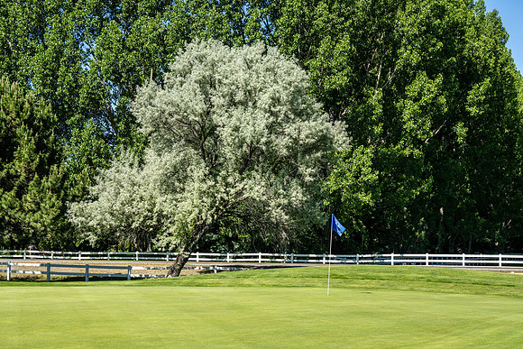 Teton Lakes Golf Scramble - June 2024