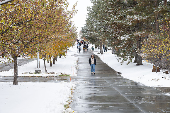 Campus Snow - Nov 2024