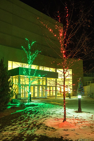 Christmas lights around campus help bring in the holiday cheer.