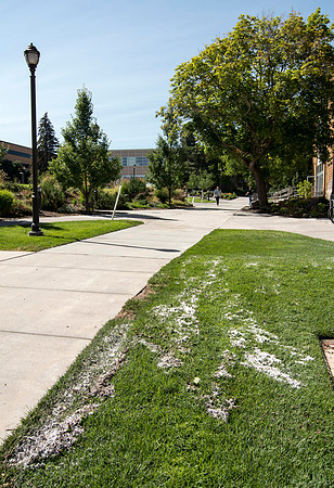 Tuesday, July 15, around 5 pm, a thunderstorm came through Rexburg , Idaho and dumped 1.15 inches (according to the National Weather Service) of rain and hail in less then an hour, All that rain racin