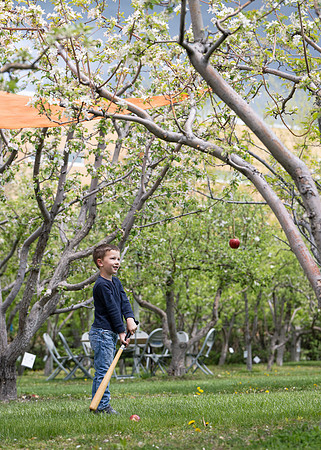 Apple Blossom Festival - May 2025