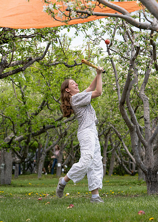 Apple Blossom Festival - May 2025
