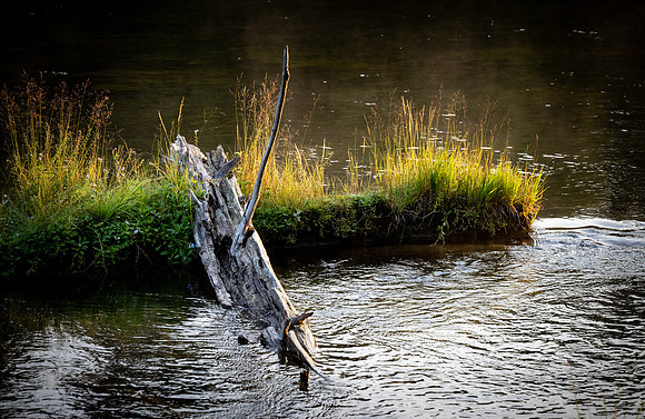 Photo excursion, hike along the river to Coffee Pot rapids.