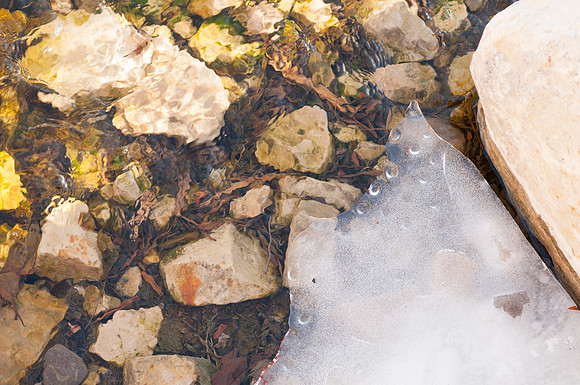 Ice begins to form on the side of the small river bank in the Taylor Quad.
