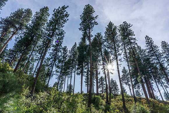 Various landscapes in central Idaho along a well known bikepacking route.