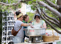 Apple Blossom Festival - May 2025