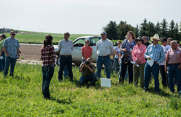 Ag students get the opportunity to show off their wheat crops during Ag Days.